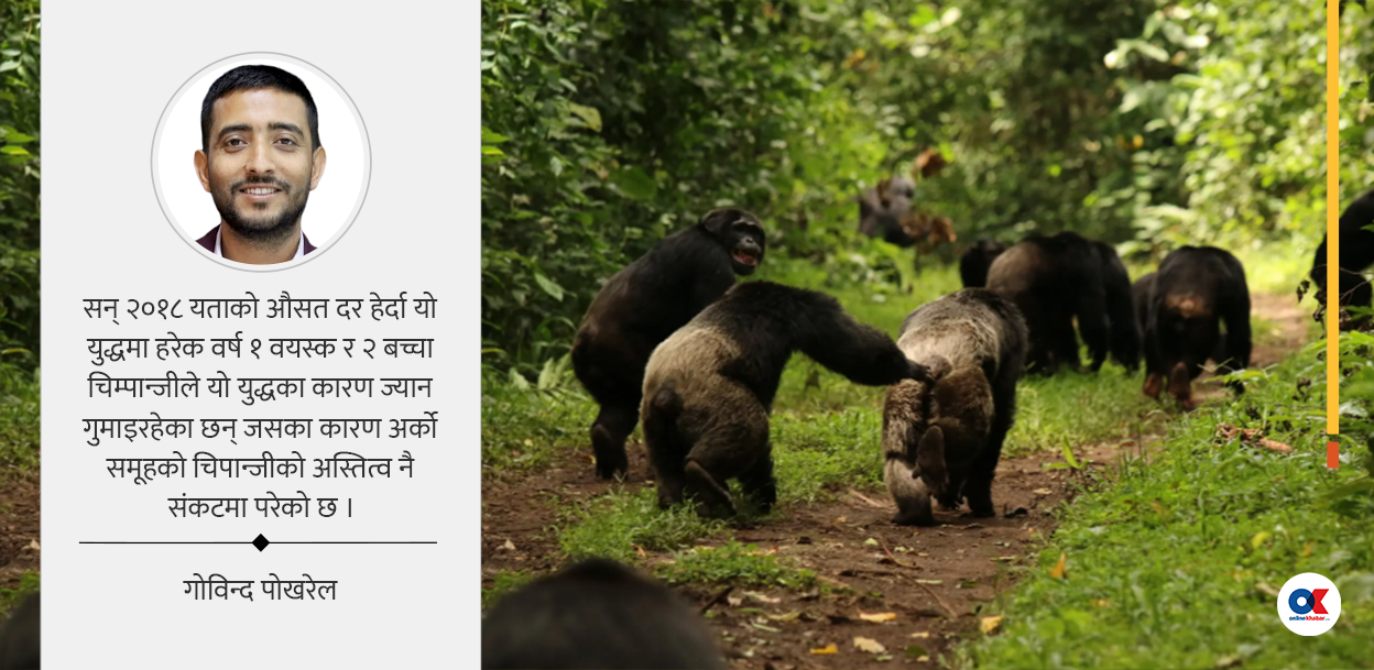 चिम्पान्जीहरूको गृहयुद्ध