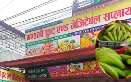 गाउँघरको फलफूल जुटाएर बजारमा ताजा जुस