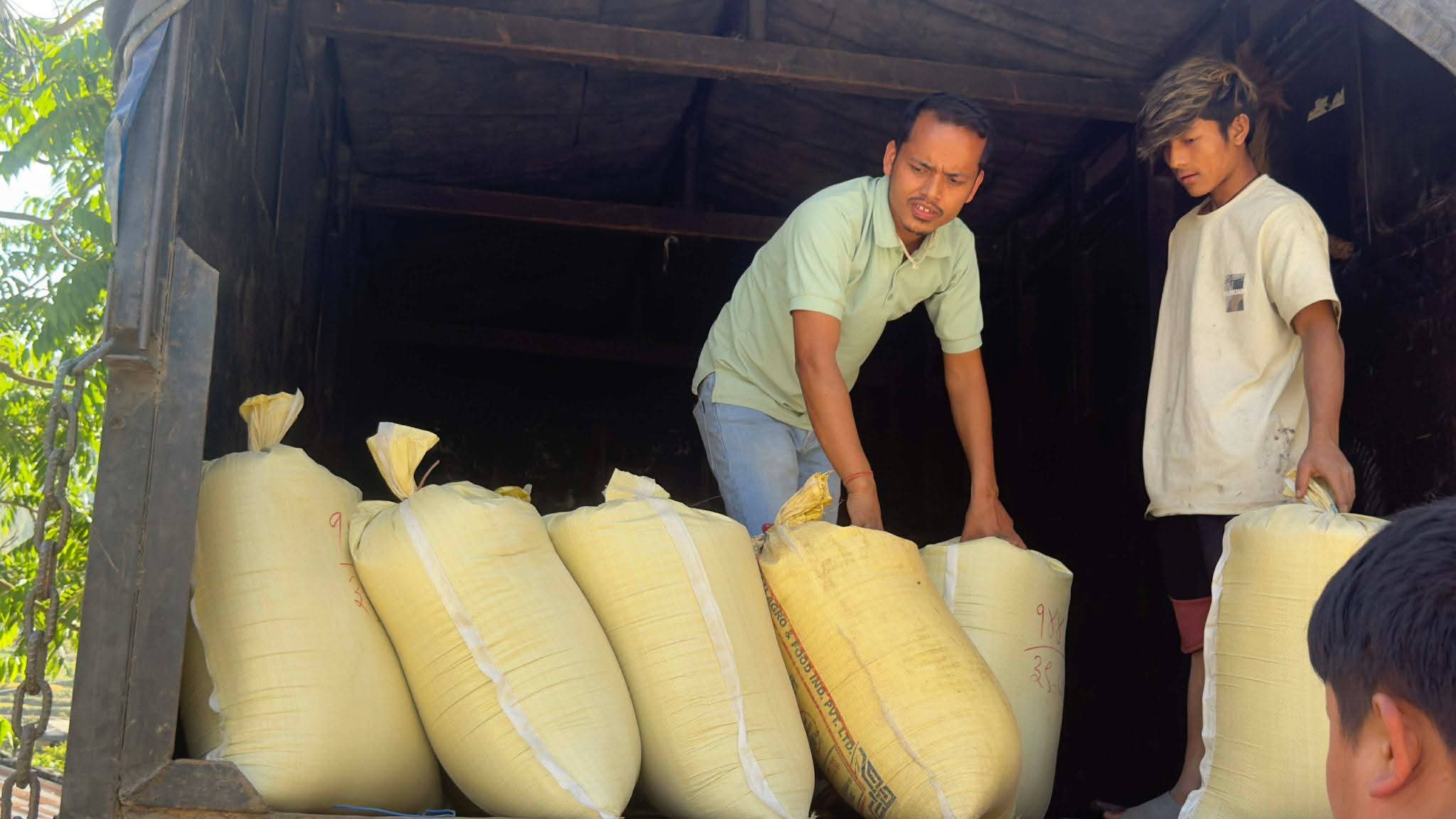 रोल्पाली कोदो काठमाडौंमा