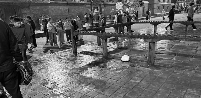 पाटनमा चक्कु प्रहारबाट दाजु भाइको हत्या, दुई जना पक्राउ