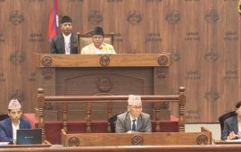 सीमावर्ती क्षेत्रमा ‘बोर्डर पास’ व्यवस्था गर्न लुम्बिनीका सांसदहरूको माग