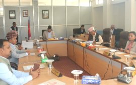 लुम्बिनीको मन्त्रिपरिषद् बैठक : सवारी साधन करको बाँडफाँट प्रस्ताव पारित