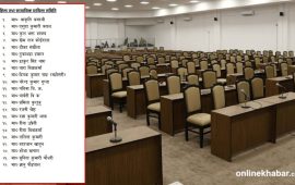 संसद्को महिला समितिमा ५ जना मात्रै पुरुष सांसद