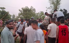 जलेश्वरमा हावाहुरी : टेम्पुमाथि रुख ढल्दा दुई जनाको मृत्यु, तीन जना गम्भीर घाइते