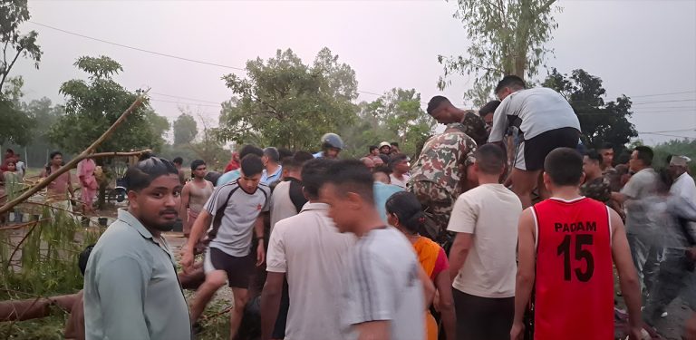 जलेश्वरमा हावाहुरी : टेम्पुमाथि रुख ढल्दा दुई जनाको मृत्यु, तीन जना गम्भीर घाइते