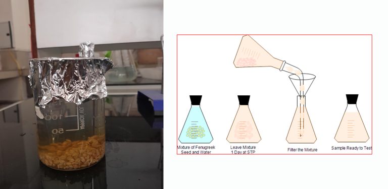 नेपाली वैज्ञानिकको अनुसन्धान : मेथीपानीले मधुमेह नियन्त्रण र छाला संरक्षण गर्छ