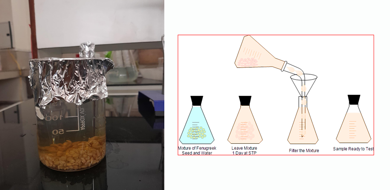नेपाली वैज्ञानिकको अनुसन्धान : मेथीपानीले मधुमेह नियन्त्रण र छाला संरक्षण गर्छ