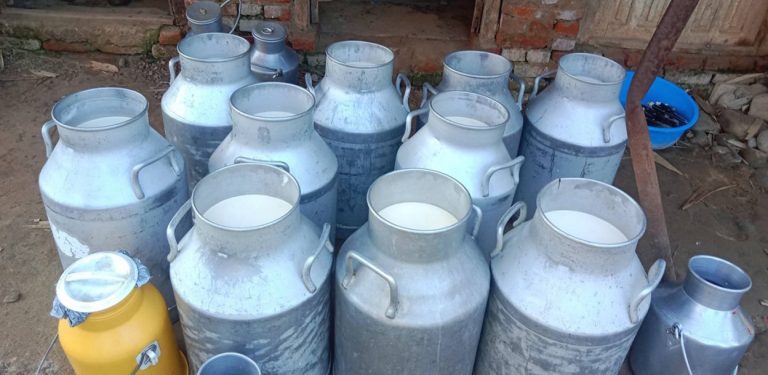 काभ्रेका किसानले पाएनन् पाँच महिनादेखि दूधको भुक्तानी