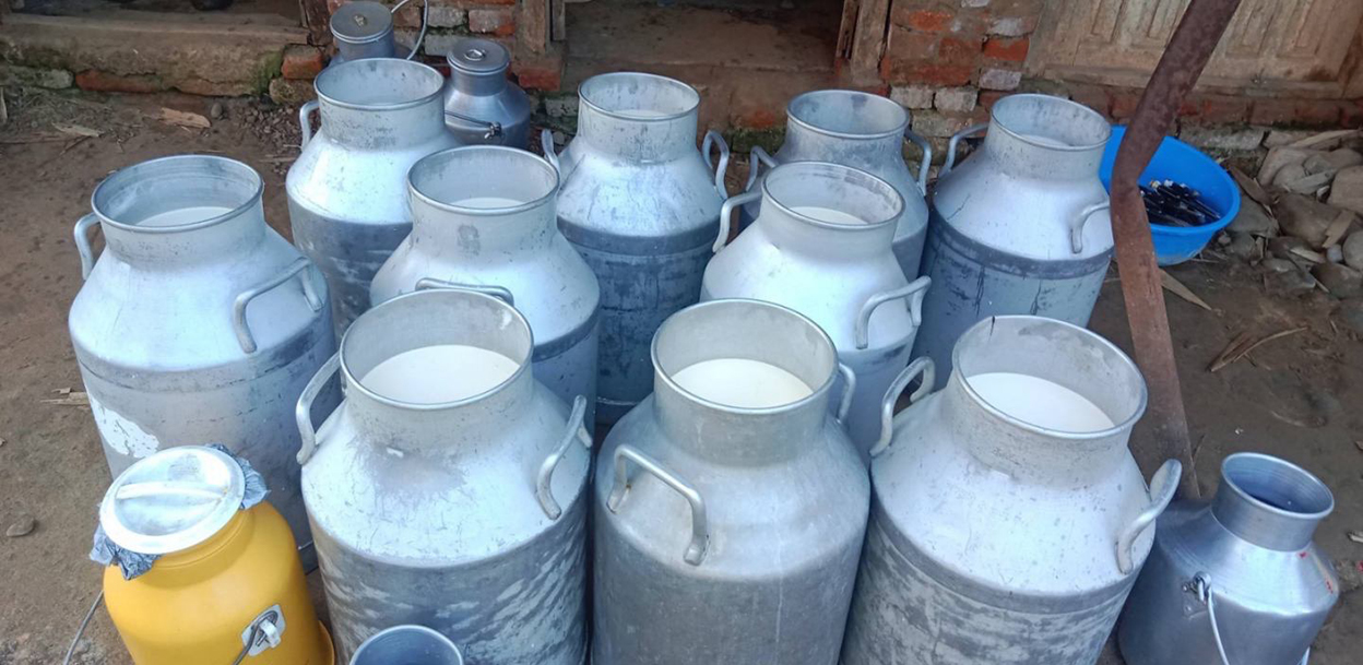 काभ्रेका किसानले पाएनन् पाँच महिनादेखि दूधको भुक्तानी