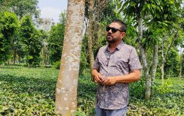 रबिको ‘मिश्रित खेती’मा २७ प्रजातिका नगदेबाली