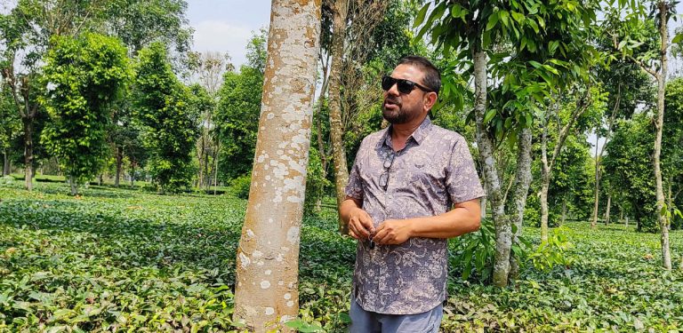 रबिको ‘मिश्रित खेती’मा २७ प्रजातिका नगदेबाली