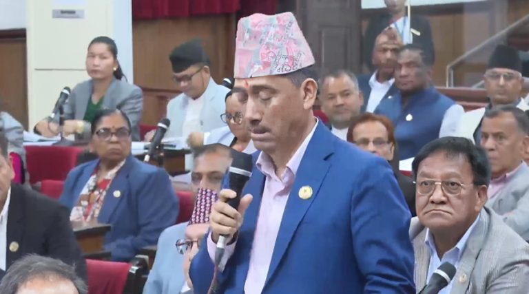 शेयर बजारबाट ठूला लगानीकर्ता बाहिरिने खतरा बढ्यो, सरकारको ध्यान जाओस् : रोकाय