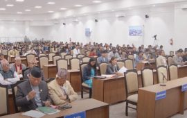 एमालेका सांसदहरूले भने- सुशासनको नाममा प्रतिशोध र पूर्वाग्रह राख्नु भएन