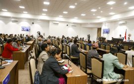 संसद्‍मा तोडफोड गरिए तोडफोड गर्ने सांसदबाटै क्षतिपूर्ति भराइने