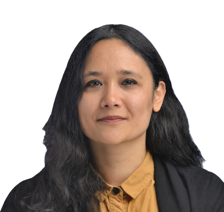 न्यूयोर्ककी विधि निर्माता