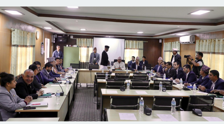 एमालेसहितका साना दलहरूले खोजे संसद्‌मा सम्मानजनक सहभागिता