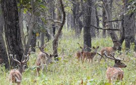 शुक्लाफाँटामा ६ महिनामा २६०० पर्यटकले गरे  भ्रमण