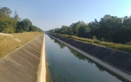 वन्यजन्तुमैत्री छैन सिक्टाको पश्चिमी मूलनहर