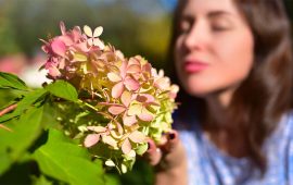 यसकारण बास्ना सुँघ्न तपाईं रोकिनुपर्छ