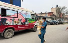 सुकुमवासी बस्तीका पशुप्राणीको यसरी हुँदैछ उद्धार