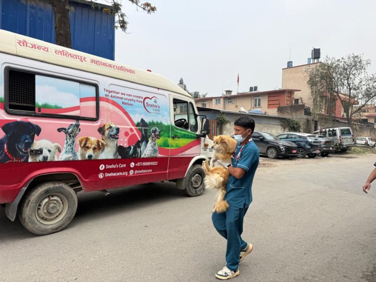 सुकुमवासी बस्तीका पशुप्राणीको यसरी हुँदैछ उद्धार