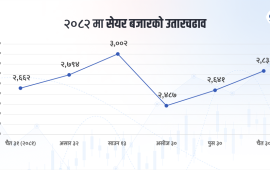 वर्ष २०८२ मा जम्मा ६ प्रतिशत बढ्यो सेयर बजार, ०८३ मा तोडिएला रेकर्ड ?