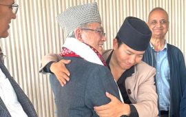 एमालेको ड्रयागन रोपेर उपियाँ फलाउने नियति