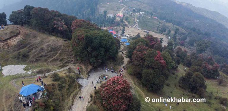सुकेपोखरीमा नयाँ वर्ष (तस्वीरहरू)