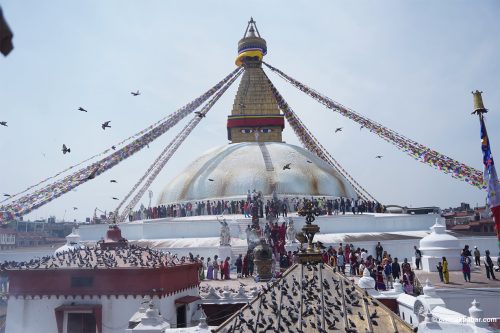 बौद्धमा तेमाल जात्रा (तस्वीरहरू)