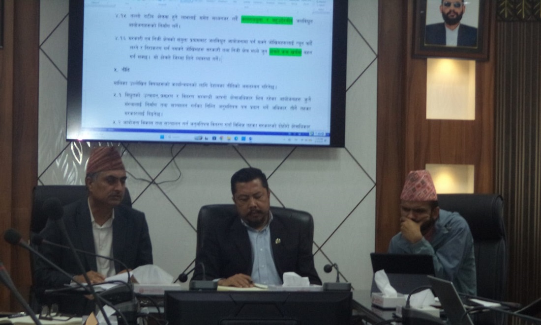 ऊर्जामन्त्री श्रेष्ठले विद्युत् नीतिमाथि आन्तरिक छलफल थाले