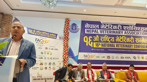 भेटेरिनरीयनलाई मेडिकल डाक्टर सरहको दर्जा दिन माग