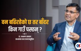 ‘बाली जोगाउन बाँदर समात्ने, मार्ने जुक्ति दीर्घकालीन र मानवीय छैन’