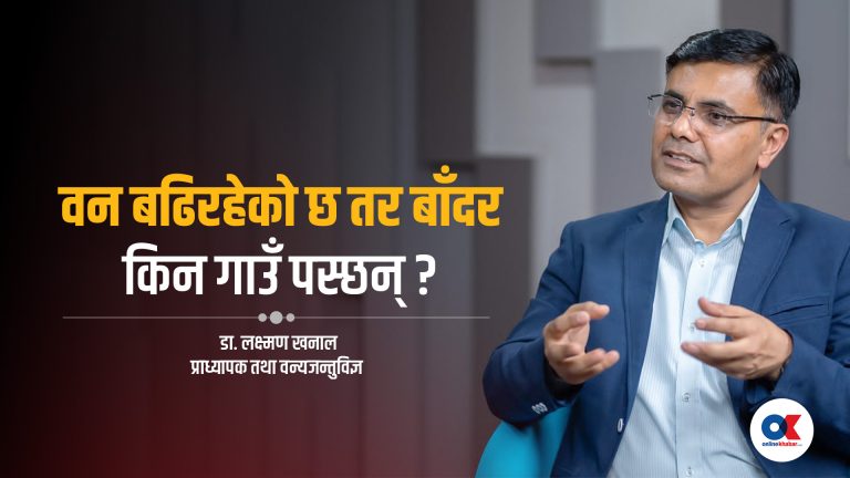 ‘बाली जोगाउन बाँदर समात्ने, मार्ने जुक्ति दीर्घकालीन र मानवीय छैन’