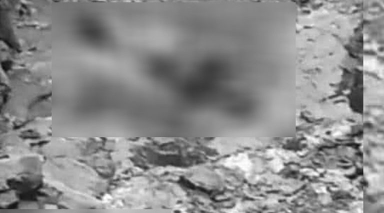 बाजुरामा भिरबाट खसेको ढुंगा लागेर वडा सदस्यको मृत्यु