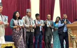 ललितपुरको पत्रकारिता इतिहास पुस्तक विमोचन, सात पत्रकार सम्मानित