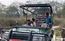 चितवन राष्ट्रिय निकुञ्जमा आन्तरिक पर्यटक बढे, बाह्य पर्यटक घटे