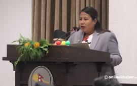 आगामी वर्ष १ खर्बको काठ बेच्ने सरकारको लक्ष्य, विदेश निर्यात पनि गरिने