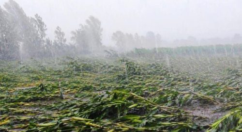 बागलुङ, गुल्मी र प्युठानमा हावाहुरीले पुर्‍यायो क्षति, सांसदले गराए सरकारको ध्यानाकर्षण