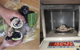 सिन्धुलीमा काँक्रोभित्र लुकाएर ल्याएको १०० ग्राम खैरो हेरोइन बरामद