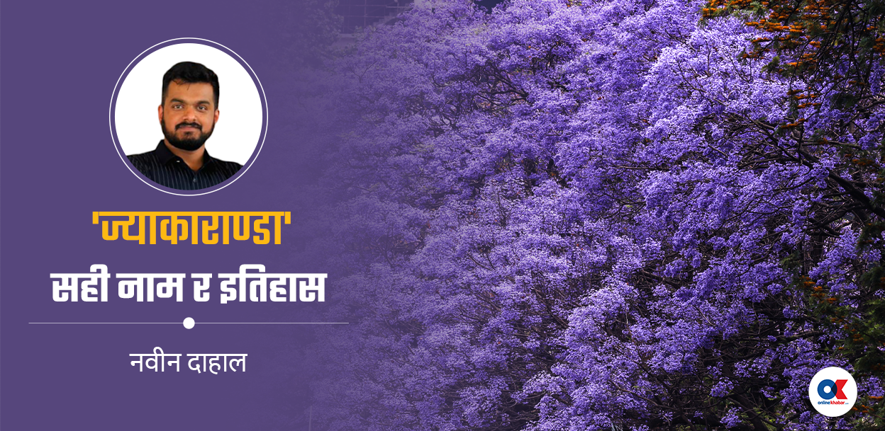 ज्याकाराण्डा कि चखुँचा स्वाँ ?