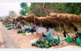 मुक्त कमैयाको बदलिएको जीवन : बगरमा पसिना, राजमार्गमा व्यापार