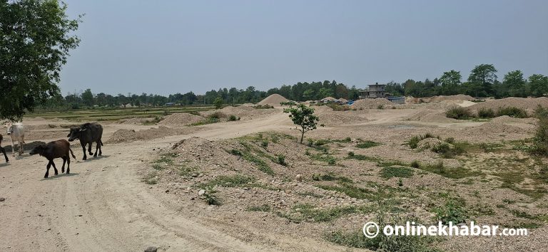 बेलगाम क्रसर : कर्मचारीलाई टेर्दैनन्, ज्यान लिने धम्की दिन्छन्