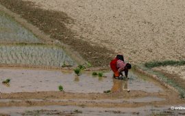यो वर्षको मनसुनमा कम वर्षा र बढी गर्मी हुन्छ किन भनियो ?