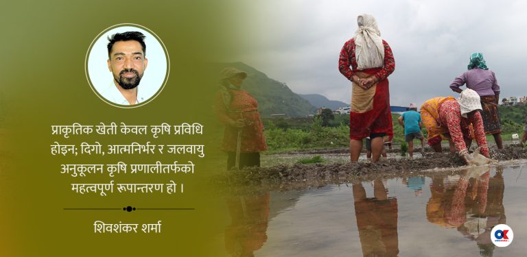 युद्धले कृषिमा नोक्सान : प्राकृतिक खेती दिगो समाधान