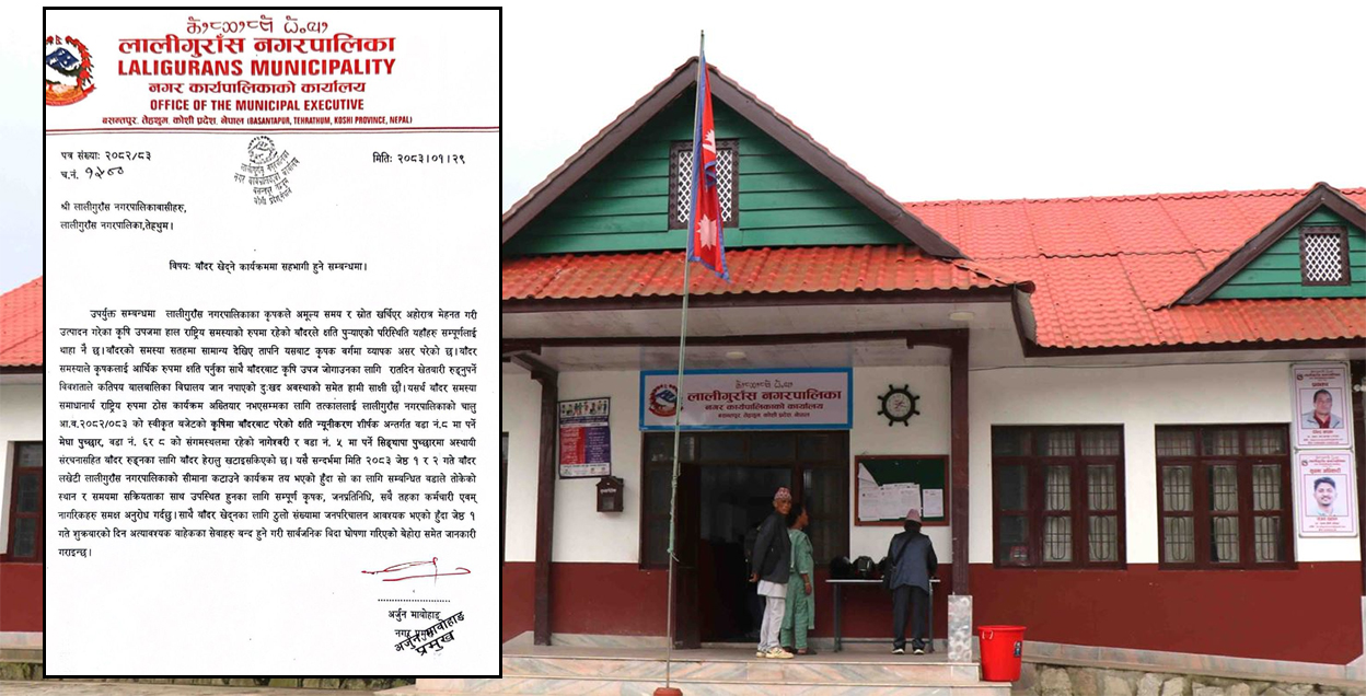 बाँदर धपाउन तेह्रथुमको लालीगुराँस नगरपालिकाले दियो सार्वजनिक बिदा