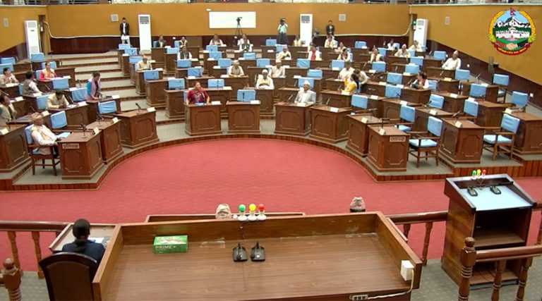 लुम्बिनी प्रदेशसभा : आत्मनिर्भरमुखी कार्यक्रममा जाेड दिन सांसदहरूको सुझाव