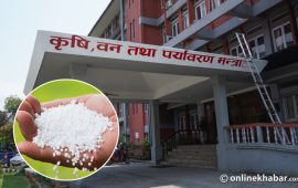 कृषि मन्त्रालयले भन्यो- मलको अभाव छैन, झन्डै डेढ लाख मेट्रिक टन मौज्दात छ
