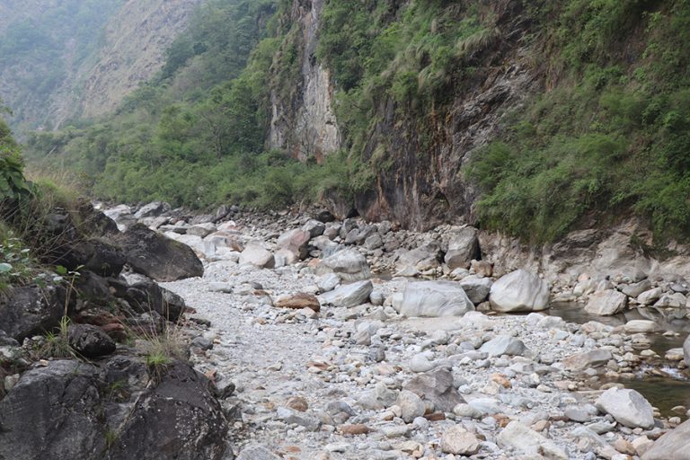 मिस्त्रीखोलामा पाइन छाडे माछा