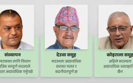 कांग्रेस विवाद : क्रियाशील अद्यावधिकमा संस्थापन–इतर रस्साकस्सी
