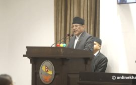 संविधान संशोधनलाई हल्का ढंगले लिने गल्ती नगरियोस् : प्रचण्ड